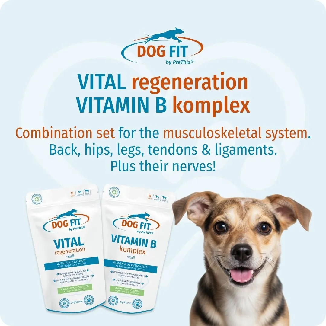 DOG FIT by PreThis® VITAMIN B & VITAL regeneration small