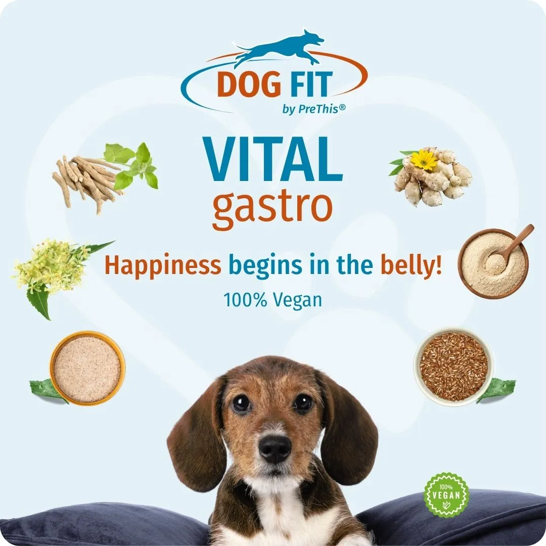 DOG FIT by PreThis® VITAL gastro – Happiness begins in the belly!