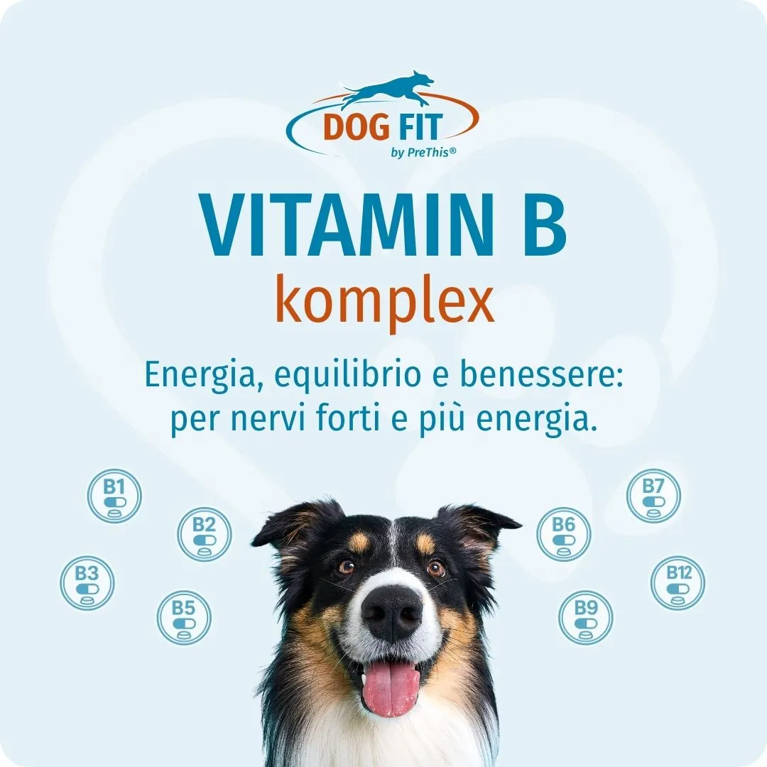 DOG FIT by PreThis® VITAMIN B medium – Slancio, equilibrio e benessere