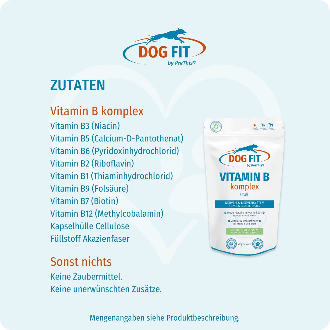 DOG FIT by PreThis® – Zutaten VITAMIN B small