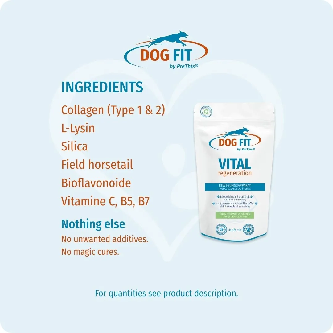 DOG FIT by PreThis® VITAL regeneration small – Ingredients and nutrients