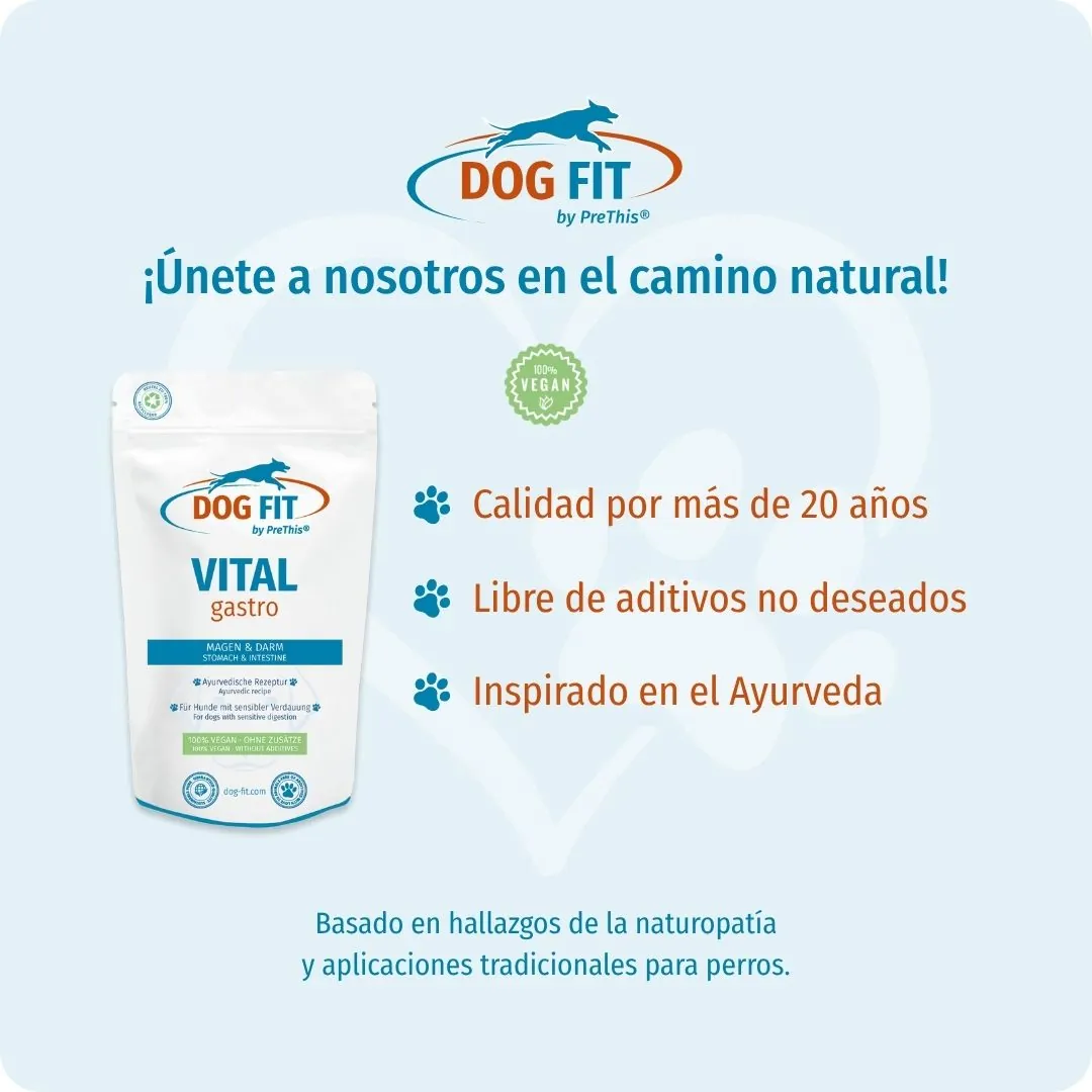 DOG FIT by PreThis® VITAL gastro – Calidad e ingredientes naturales