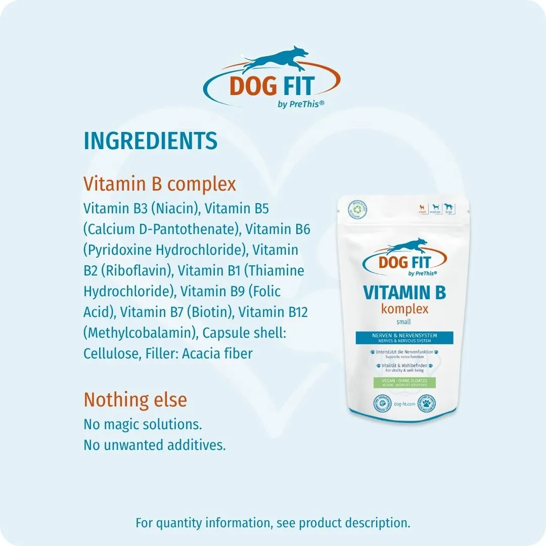 DOG FIT by PreThis® – Ingredients VITAMIN B small