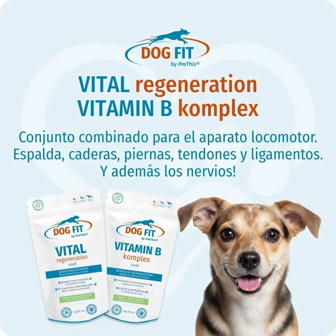 DOG FIT by PreThis® VITAMIN B & VITAL regeneration small