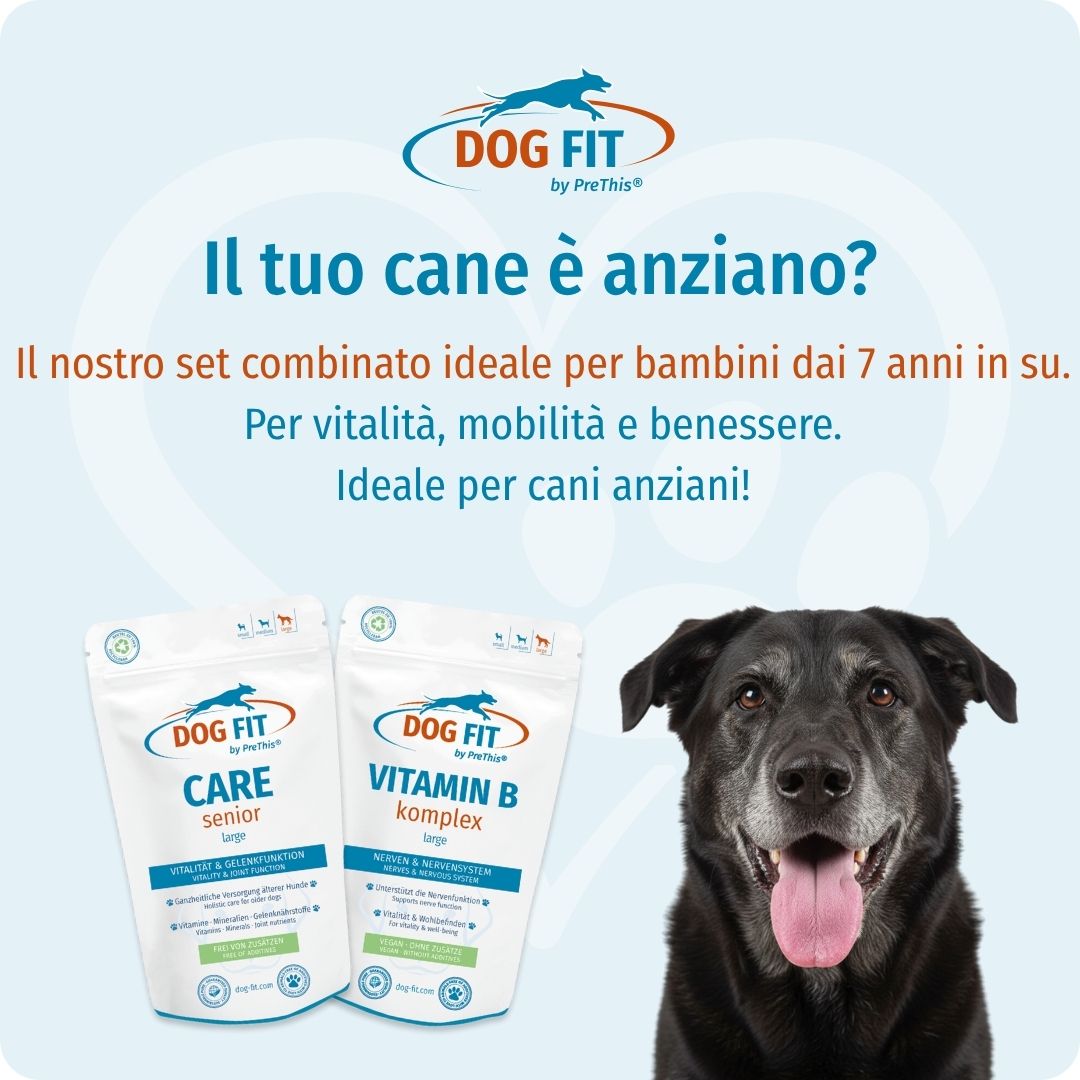DOG FIT by PreThis® VITAMIN B & CARE senior