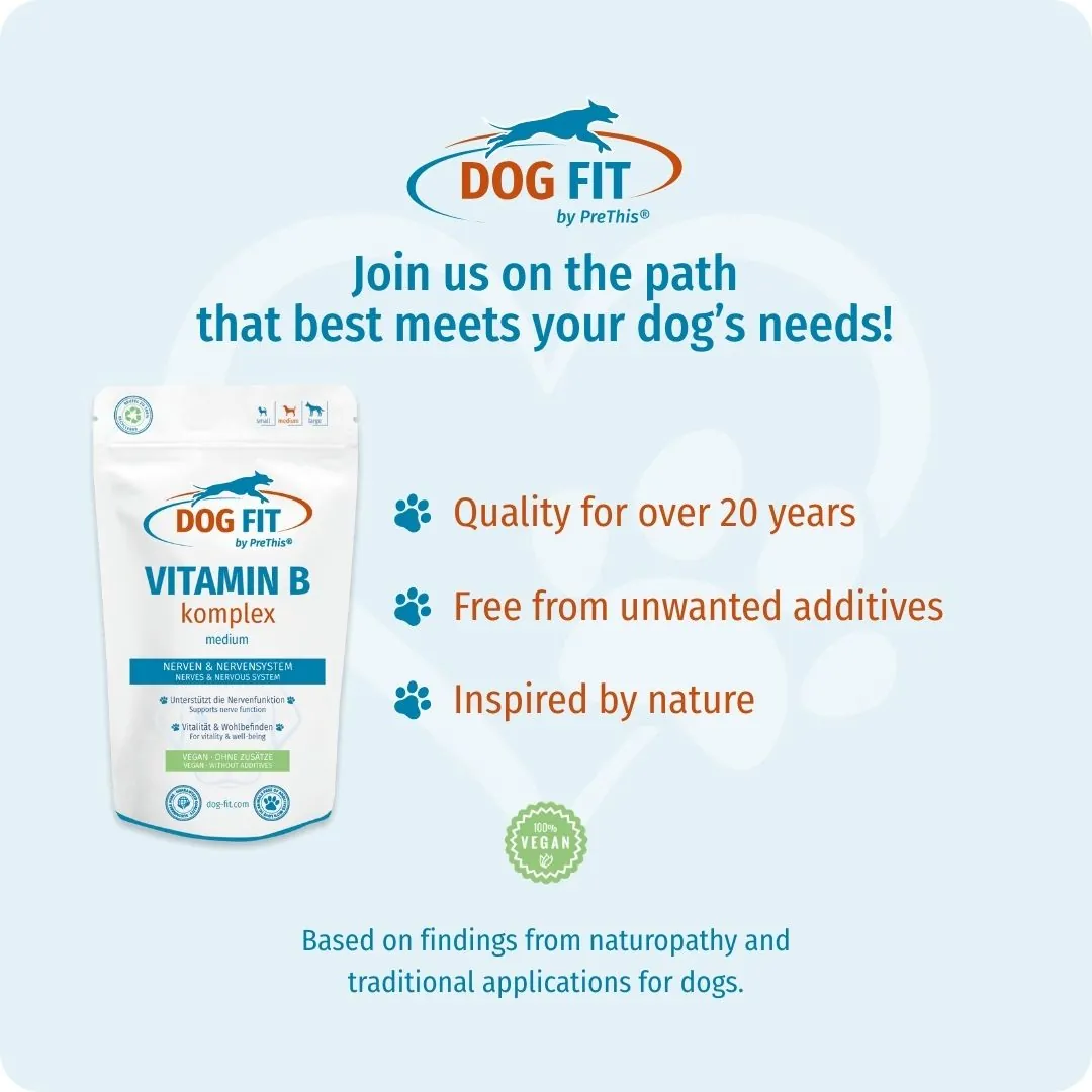 DOG FIT by PreThis® VITAMIN B medium – Quality and natural ingredients