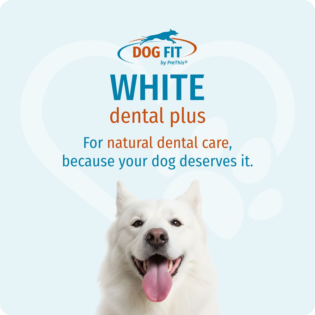 DOG FIT by PreThis® WHITE dental plus