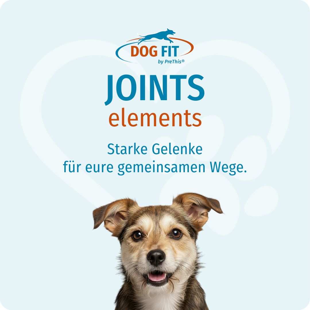 DOG FIT by PreThis® JOINTS elements