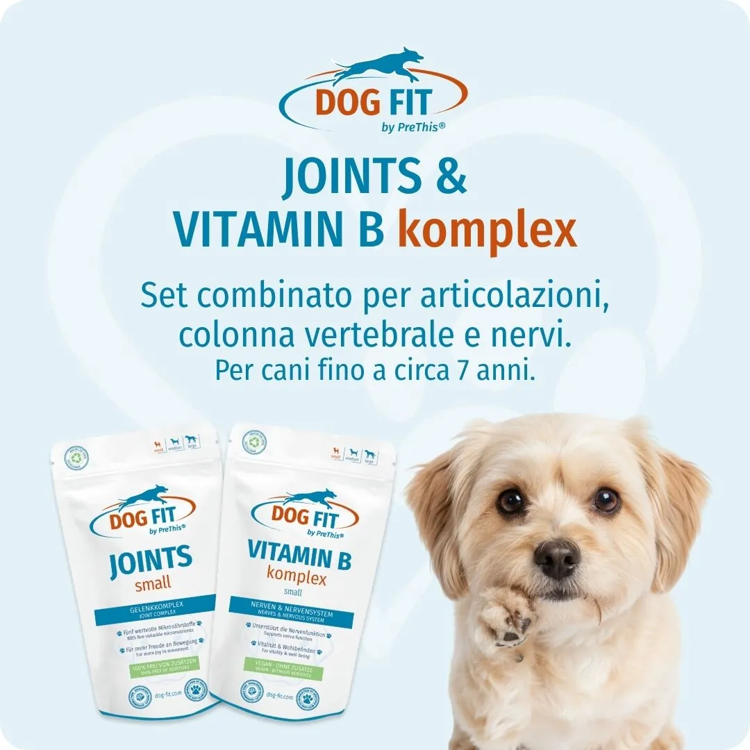 DOG FIT by PreThis® VITAMIN B & JOINTS small