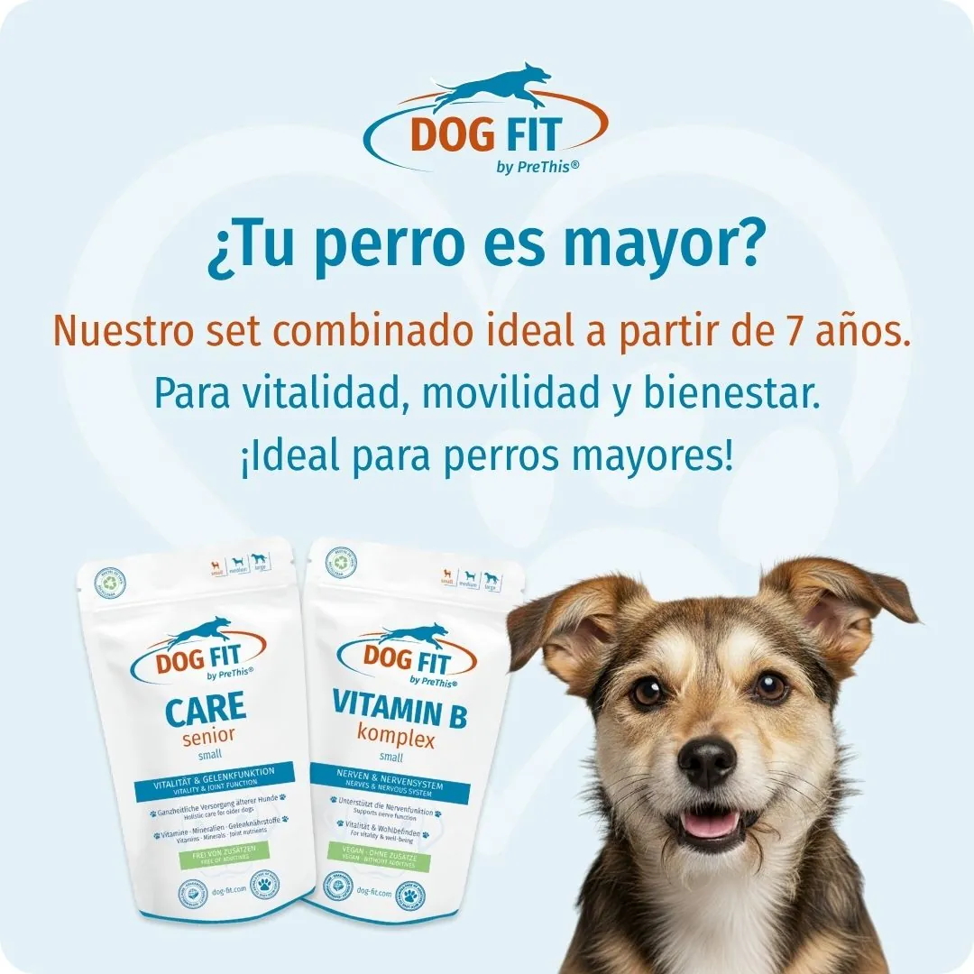 DOG FIT by PreThis® VITAMIN B & CARE senior small