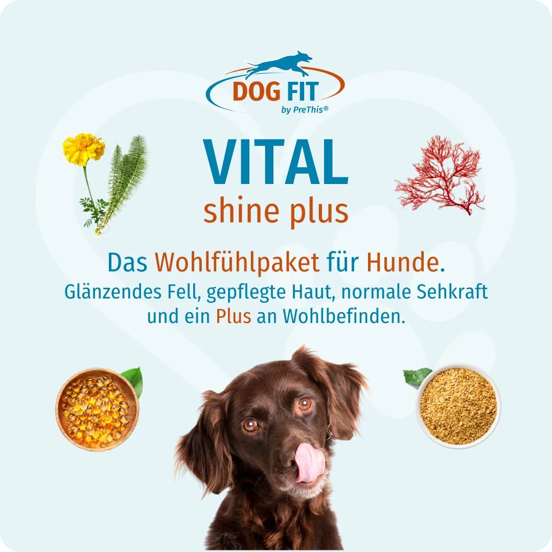 DOG FIT by PreThis® VITAL shine plus small – Das Wohlfühlpaket für Hunde