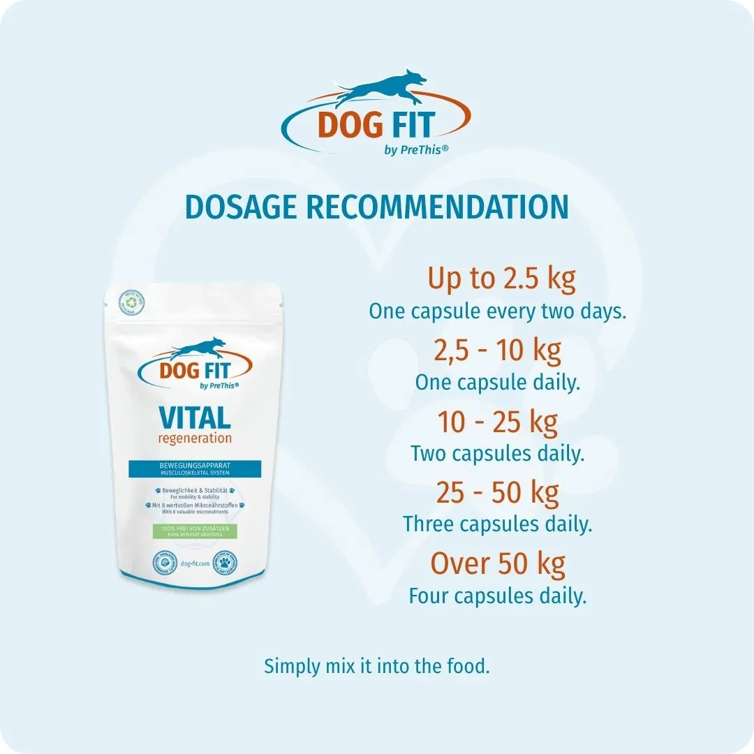 DOG FIT by PreThis® VITAL regeneration small – Dosage recommendation by body weight