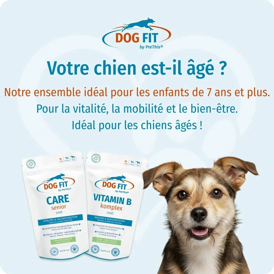 DOG FIT by PreThis® VITAMIN B & CARE senior small