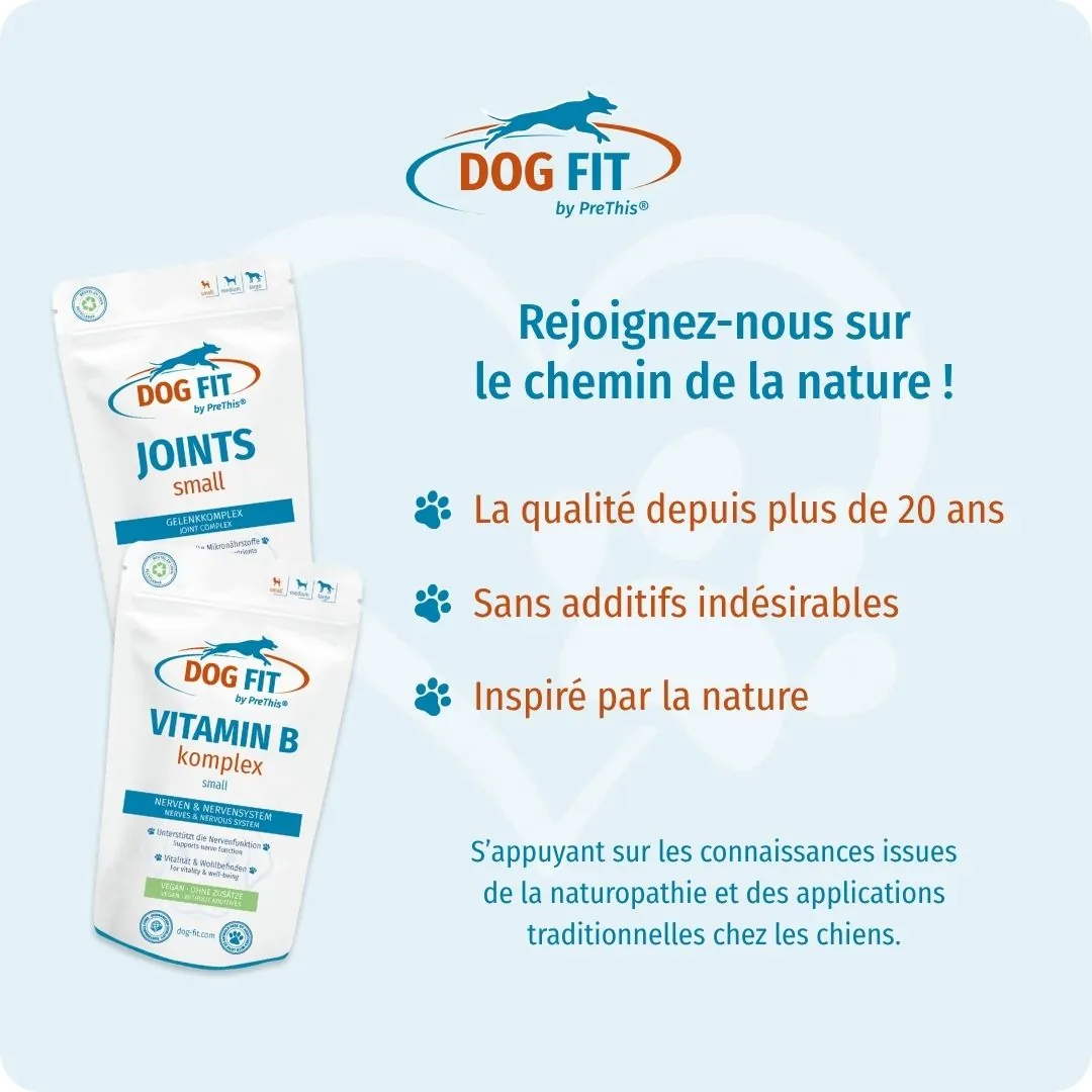 DOG FIT by PreThis® VITAMIN B & JOINTS small – Qualité et ingrédients naturels