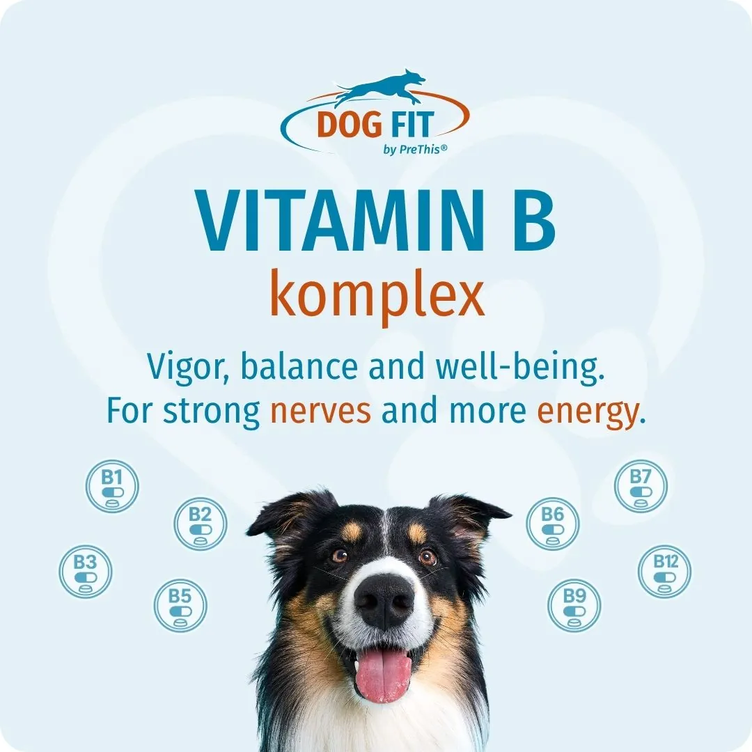 DOG FIT by PreThis® VITAMIN B medium – Vigour, balance and well-being