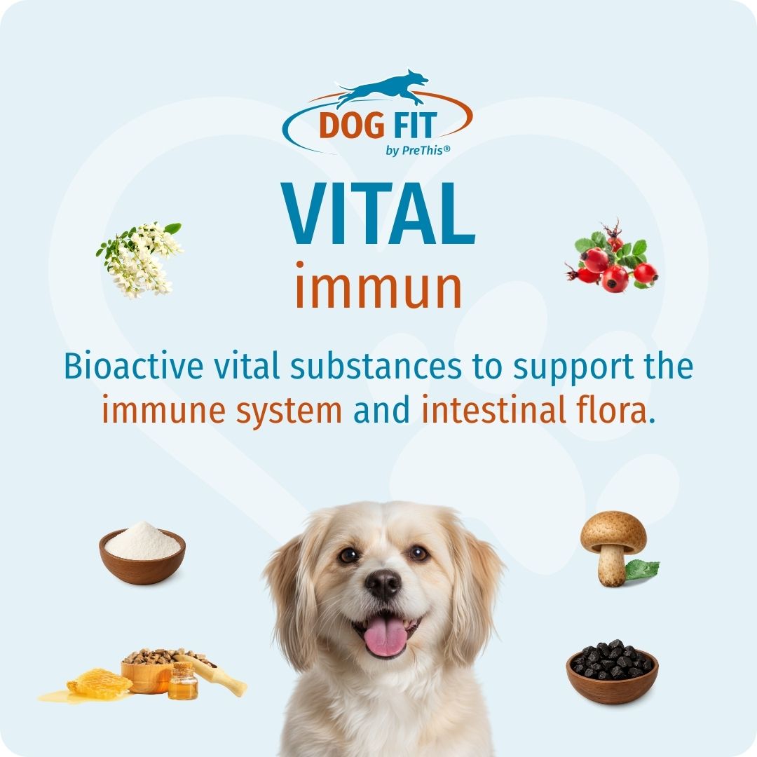 DOG FIT by PreThis® VITAL immun