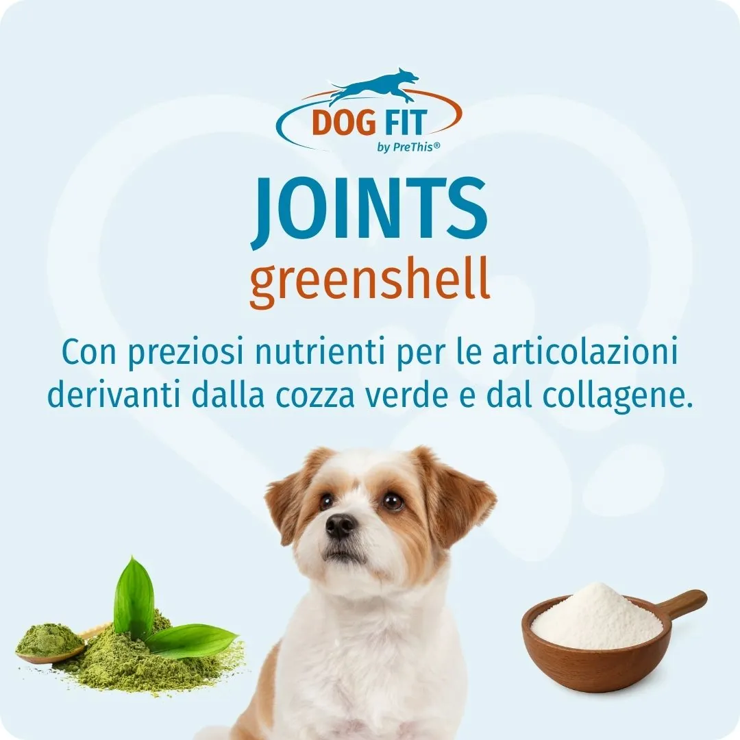 DOG FIT by PreThis® JOINTS greenshell small – Con preziosi nutrienti per le articolazioni da cozza verde e collagene