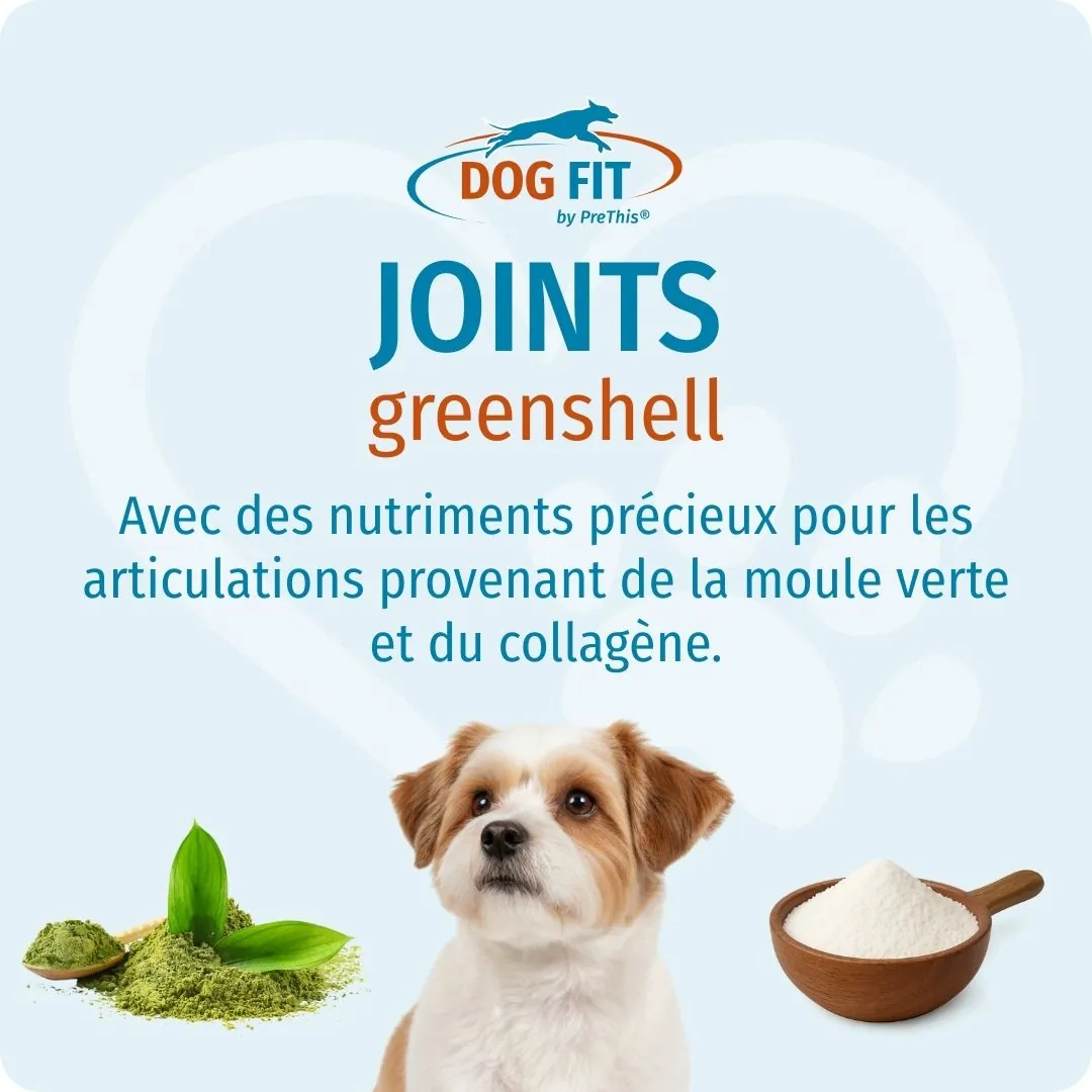 DOG FIT by PreThis® JOINTS greenshell small – Avec de précieux nutriments articulaires issus de la moule aux orles verts et du collagène