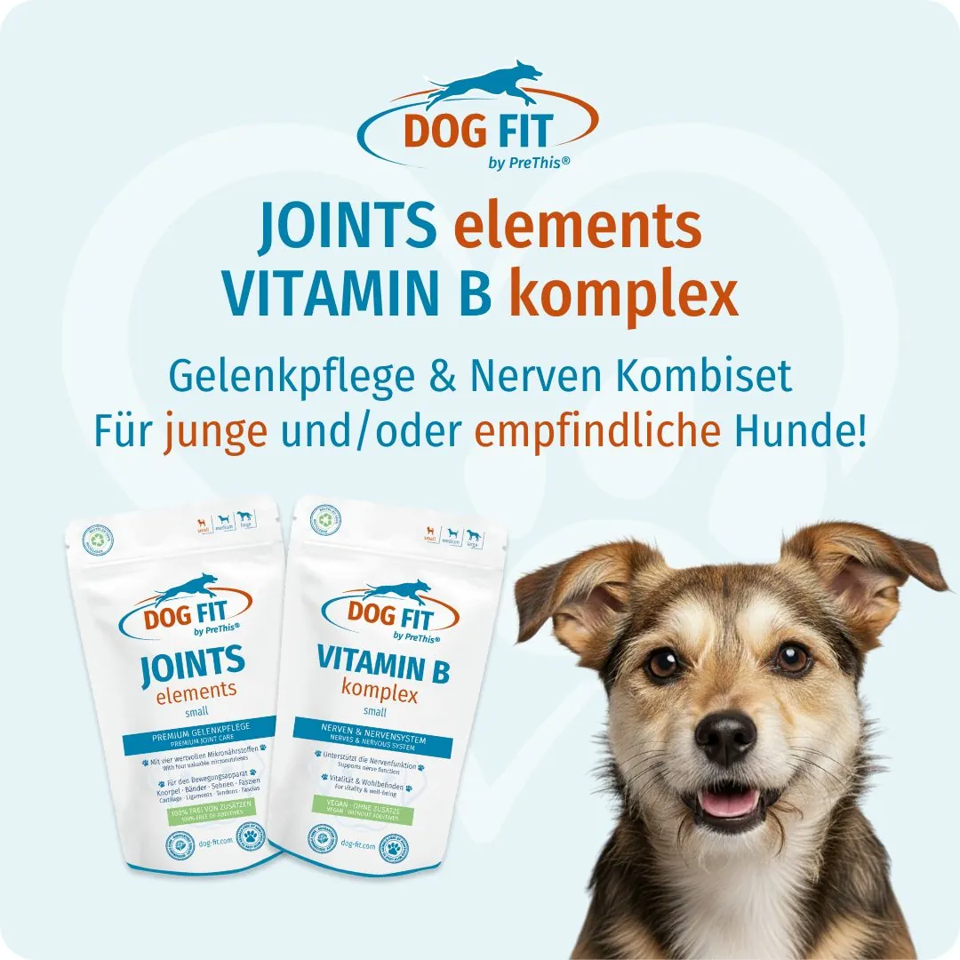 DOG FIT by PreThis® VITAMIN B & JOINTS elements small