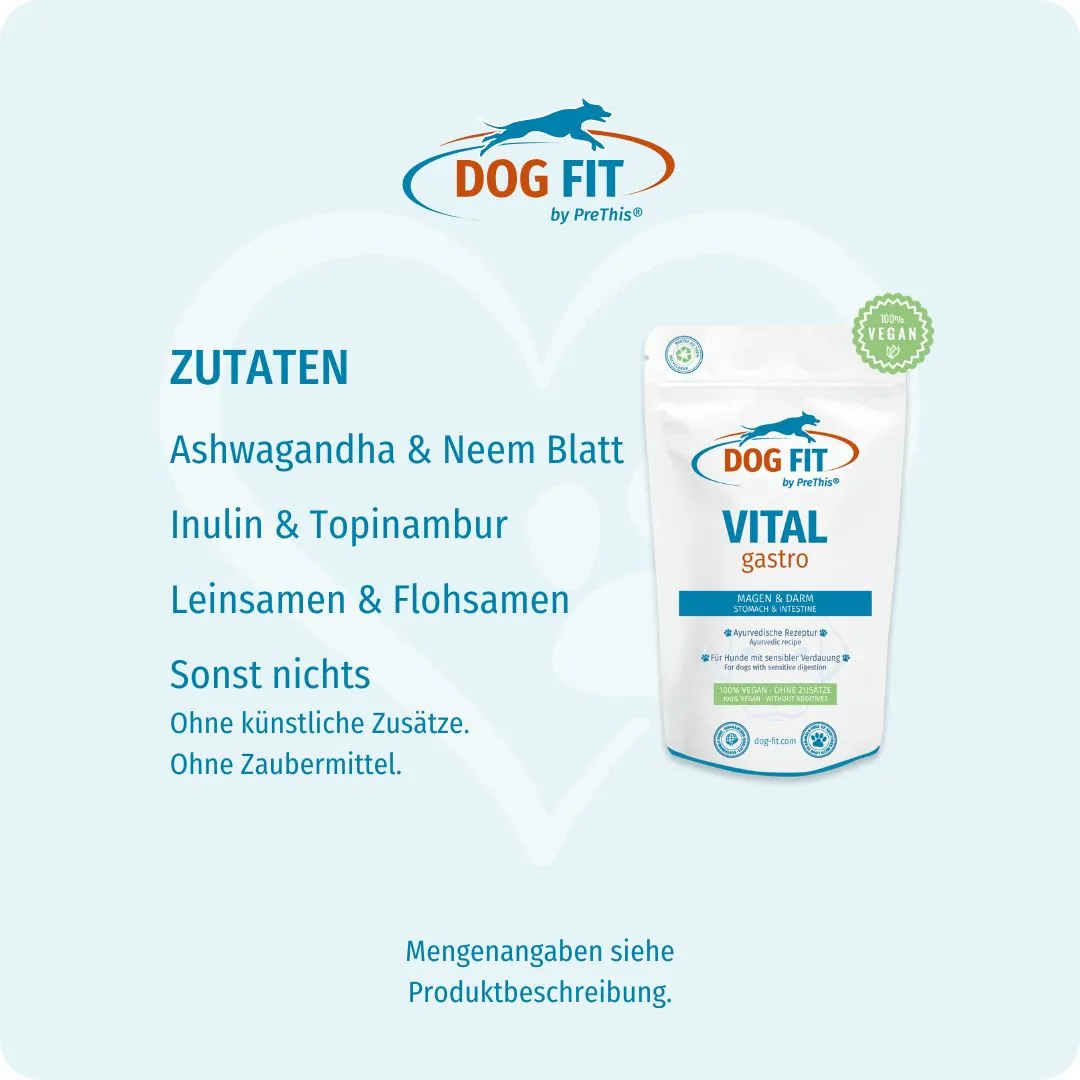 DOG FIT by PreThis® VITAL gastro – Zutaten und Nährstoffe