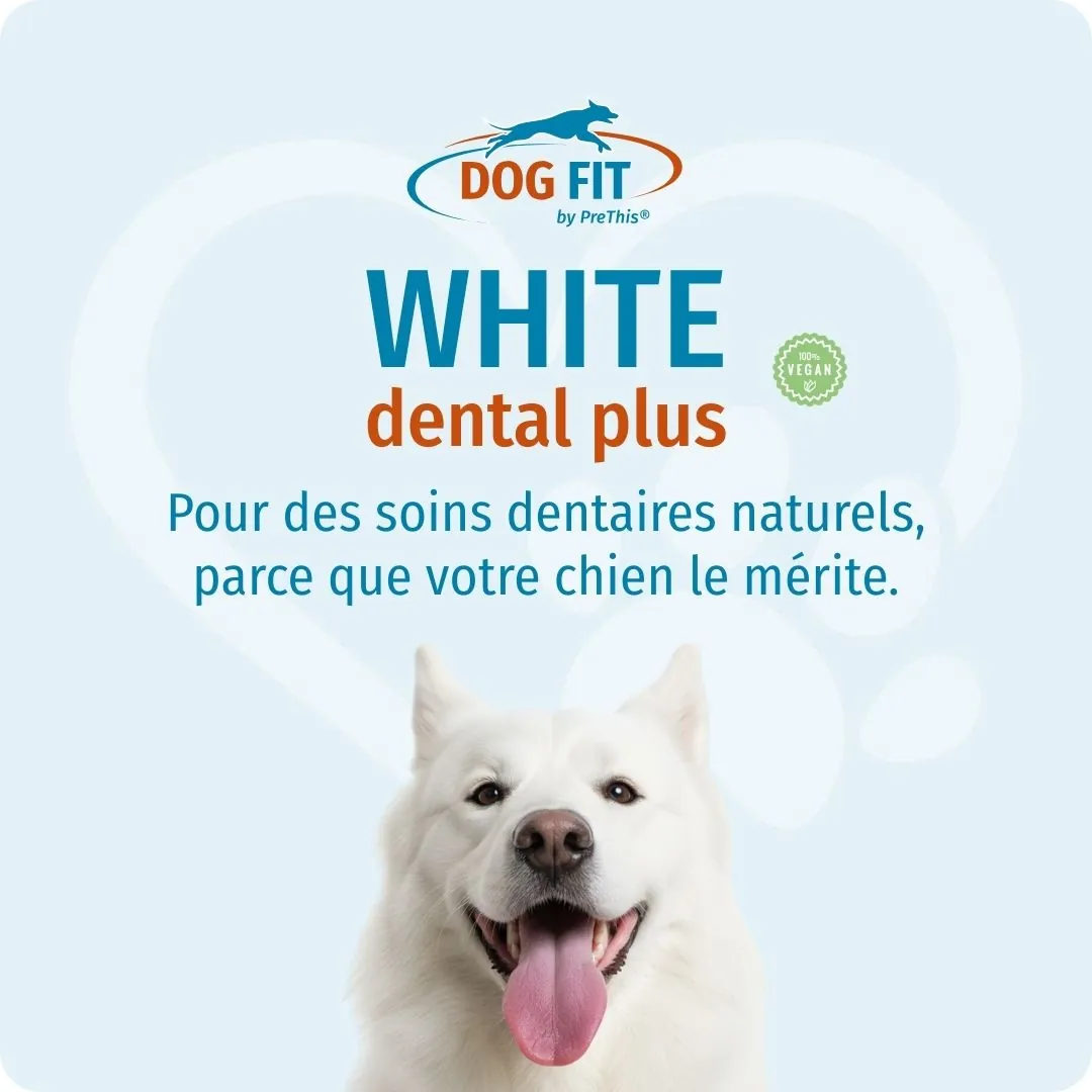 DOG FIT by PreThis® WHITE dental plus