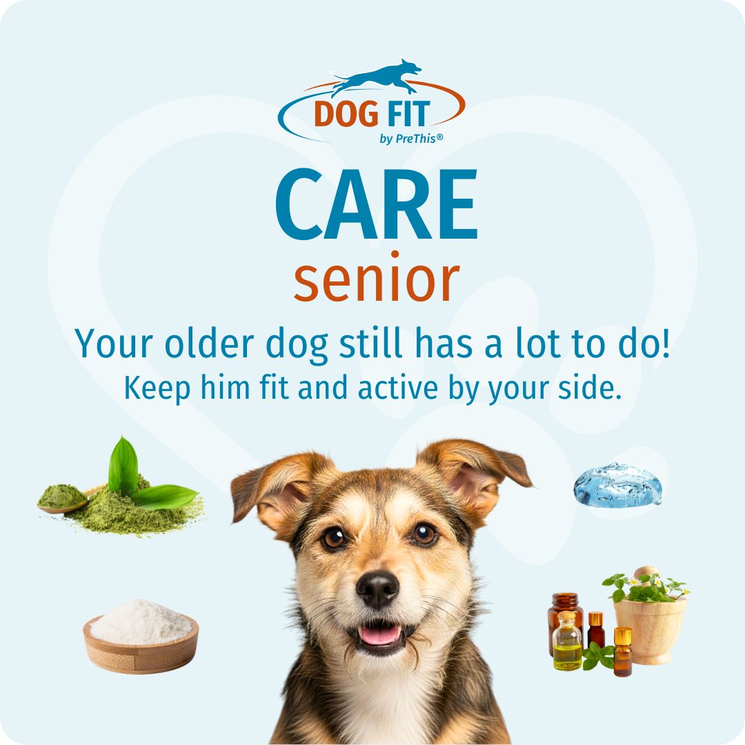 DOG FIT by PreThis® CARE senior