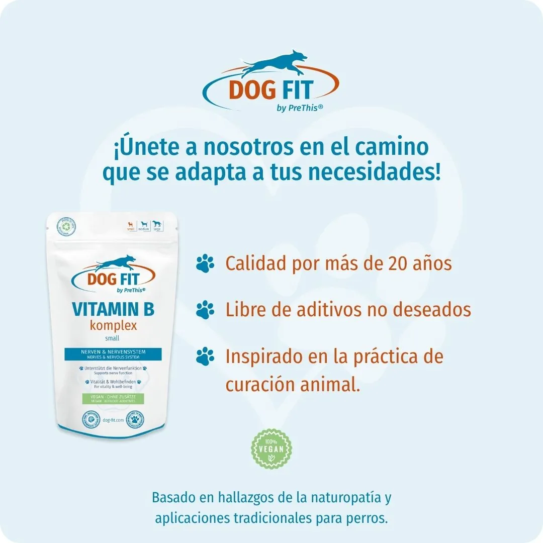 DOG FIT by PreThis® VITAMIN B small – Calidad e ingredientes naturales