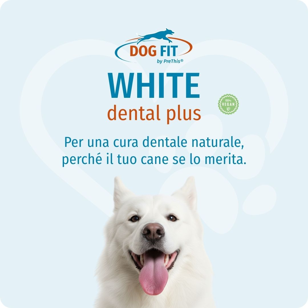 DOG FIT by PreThis® Image