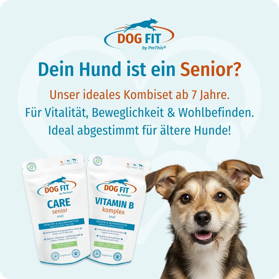 DOG FIT by PreThis® VITAMIN B & CARE senior small