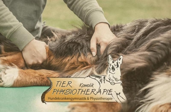 Tierphysiotherapie Magdeburg